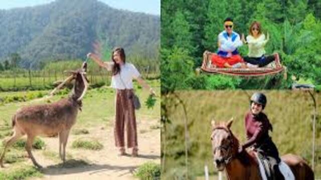 Spot Foto Estetik di Tempat Wisata